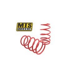 BMW E46 aizmugures atsperes  -40mm MTS