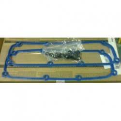 Vārstu vāka blīvju komplekts 283-11111800-FEL  VOYAGER... 2