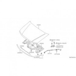 Navara 04- Motora pārsegs, 65100-EB330