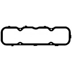 Vārstu vāka blīve 70-12895-20  REINZ 