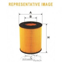 Eļļas filtrs E20H D79