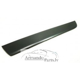 02-05 Audi A4 B6 Moldings