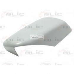 BMW 5 E60 03-  Spoguļa korpuss L, 51167078359  2