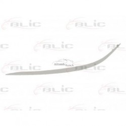 MERCEDES KLASA E (W211) 06-08 hroms moldingam L, priekšā,...