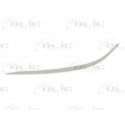 MERCEDES KLASA E (W211) 06-08 hroms moldingam R, priekšā,...