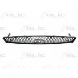 FORD FOCUS 98-02  radiatora reste, 1 076 206 