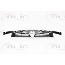 RENAULT KANGOO 05-08 radiatora reste 2