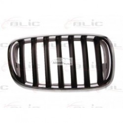 BMW X5 (E70) 07-10 radiatora reste, R, 51137157688 