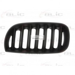 BMW X3 (E83) 04-07 radiatora reste, R, melna, 51133414904