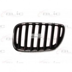 BMW X5 (E53) 04-06 radiatora reste, L, 51137113733