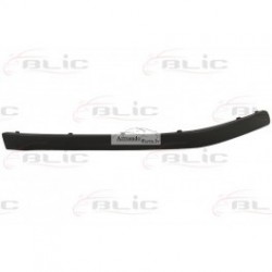 SKODA OCTAVIA II 04-08 bampera moldings, R, 1Z0807718 B41 