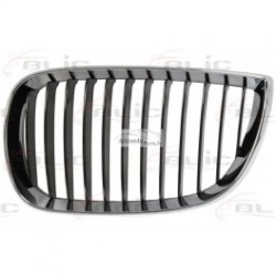 BMW 1 (E81/E87) 04-07 radiatora reste, L