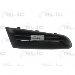 RENAULT CLIO 05- radiatora reste,R 6502-07-6033992P