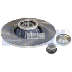 Bremzes/diski DELPHI BG9031RS 2