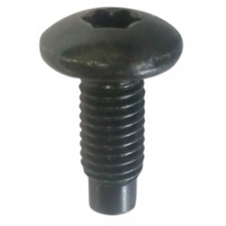 Renualt skrūve M 8MM 7703024015