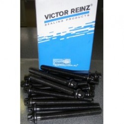 Galvas skrūves REINZ 14-32002-02, 11121721938