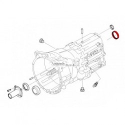 Diferencāļa vārpstas blīgredzens CORTECO 01033866B,... 2