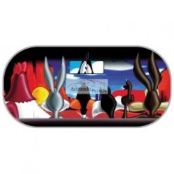 Saules sargs 50X100CM