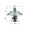 Termostats MAHLE ORIGINAL TX 25 87 D, 069121113A, 035121113B