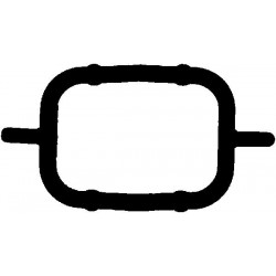 Ieplūdes kolektora blīve REINZ 70-33109-00, 11617790198,...