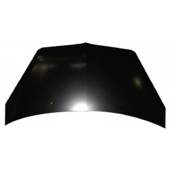 Mitsubishi Colt 04-08 motora pārsegs MN161899