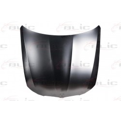 BMW 3 E90 08- motora pārsegs 41617153940