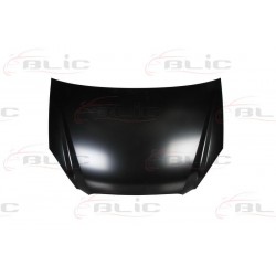 KIA Carens 06- motora pārsegs 66400-1D010