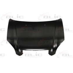 Hyundai Tucson 04-09 motora pārsegs 66400-2E020