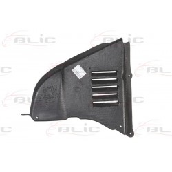  BMW 5 (E60/E61) 03-10 Motora aizsegs  R