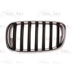 BMW X5 (E70) 07-10 radiatora reste, L, 51137157687 