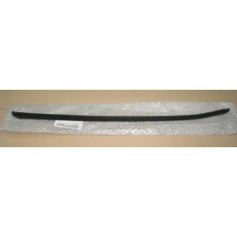 Audi A4/Avant 01-08 vējstikla moldings L