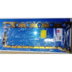 Vārstu vāka blīve REINZ 71-39438-00, 394.300, 8675562