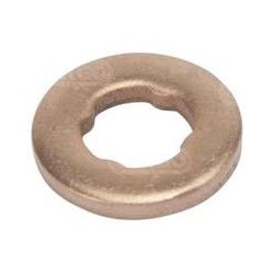 Sprauslas blīvgredzens   BOSCH  F 00V C17 504