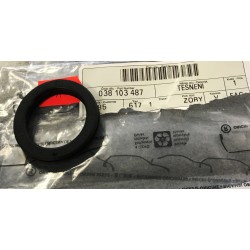 Audi A3 97-03 eļļas korķa blīve 038103487