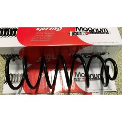 OPEL VECTRA B 95-02 aizmugures atsperes, L, R, 424016,...