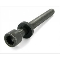 Galvas skrūves REINZ 14-32047-02, 068103384A 2