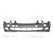 MERCEDES KLASA E (W211) 02-06 AVANTGARDE, priekšējais bampers, 2118800240