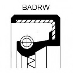 Kloķvārpstas blīvslēgs VICTOR REINZ 81-53211-00, 17x28x7mm,  P77481-01