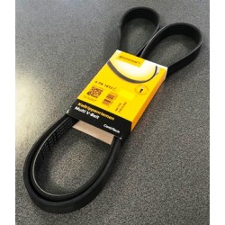 Daudzceliņu siksna CONTITECH 6PK1613C, 03G903137E