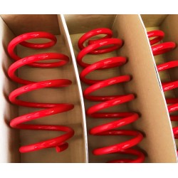 VW Passat B6 atsperu komplekts MTS 30, 30 mm MTSXVW069 2