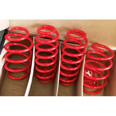 VW Passat B6 atsperu komplekts MTS 30, 30 mm MTSXVW069