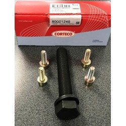 Audi A6 C4 Piedziņas skriemeļa skrūvju k-ts CORTECO 80001249