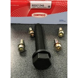 Audi A6 C4 Piedziņas skriemeļa skrūvju k-ts CORTECO 80001249 2