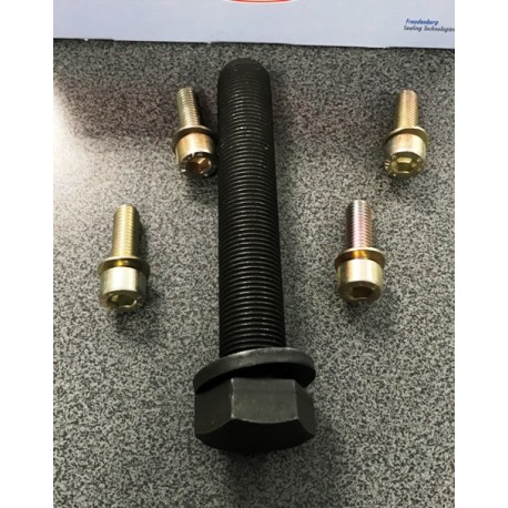 Audi A6 C4 Piedziņas skriemeļa skrūvju k-ts CORTECO 80001249