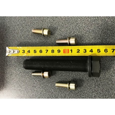 Audi A6 C4 Piedziņas skriemeļa skrūvju k-ts CORTECO 80001249