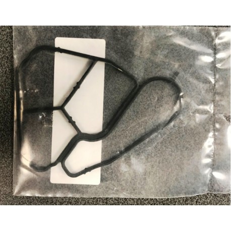 BMW Eļļas filtra korpusa blīve Elring 301.370, 11422247378