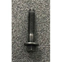 Volvo Sprauslas korpusa skrūve 987494, M6x30x33.4