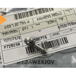 Audi A4 A6 degvielas sprauslas atplūdes uzgalis 059130795A 2