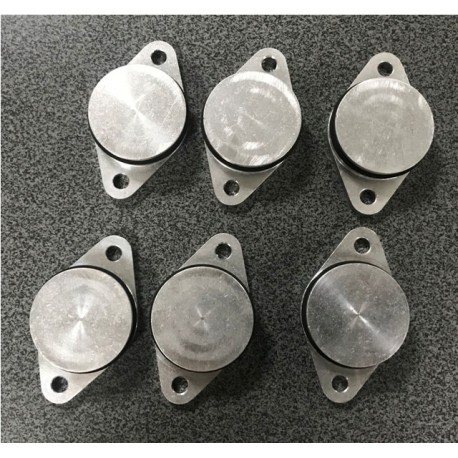 BMW M57 M57N M57TU 6 x 33 mm BMW swirl flap replacement with Viton O-ring