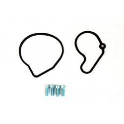 VW Audi Vakuumsūkņa remonta komplekts 8091114, 038145101B